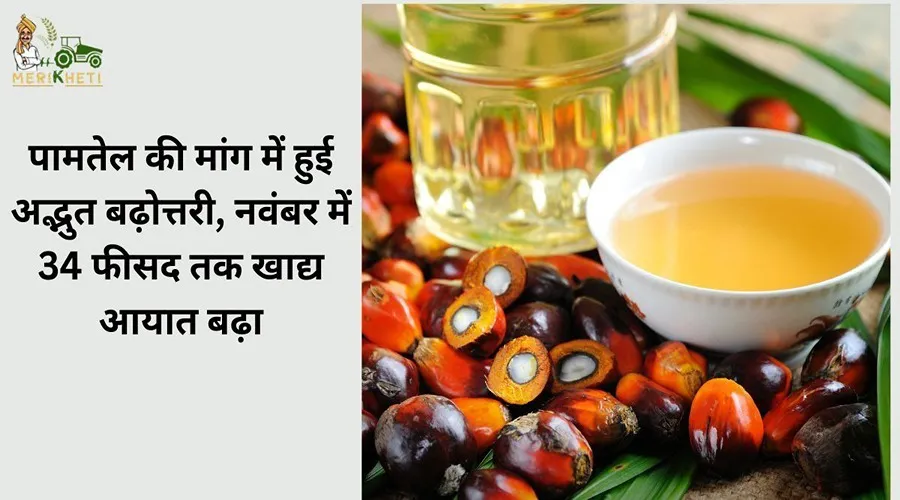 पामतेल की मांग में हुई अद्भुत बढ़ोत्तरी, नवंबर में 34 फीसद तक खाद्य आयात बढ़ा