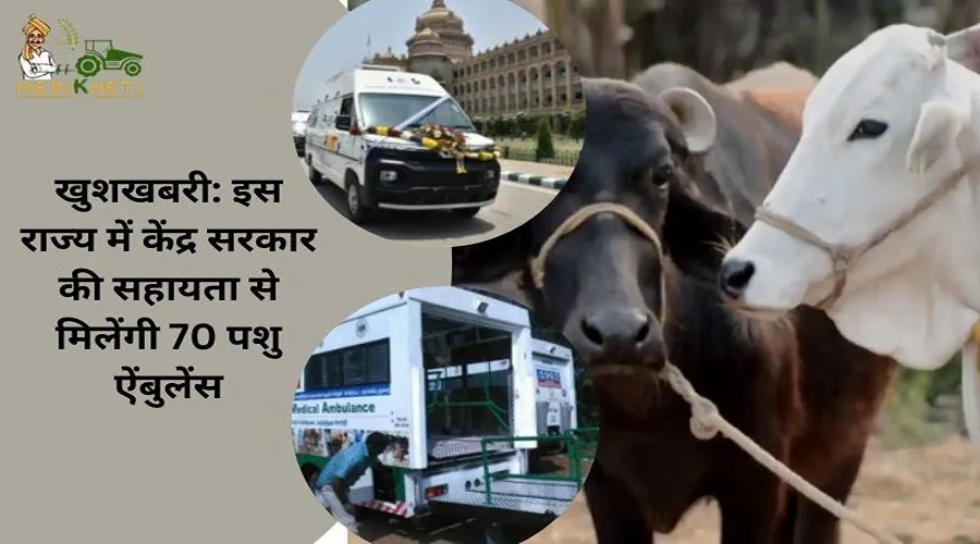 खुशखबरी: इस राज्य में केंद्र सरकार की सहायता से मिलेंगी 70 पशु ऐंबुलेंस