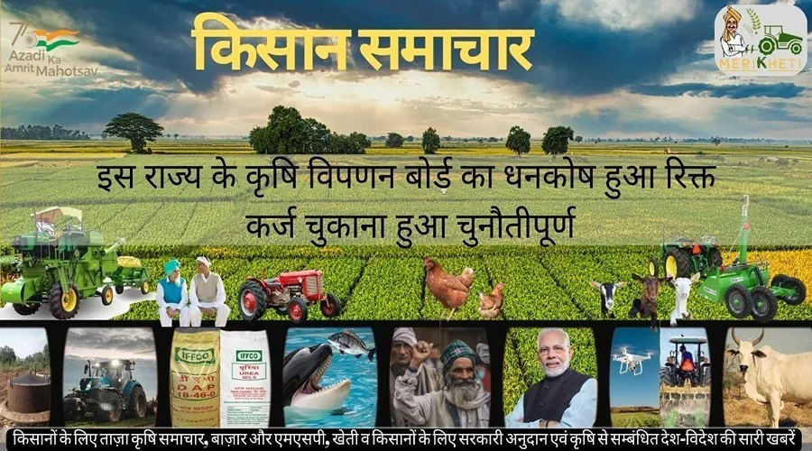 इस राज्य के कृषि विपणन बोर्ड का धनकोष हुआ रिक्त कर्ज चुकाना हुआ चुनौतीपूर्ण