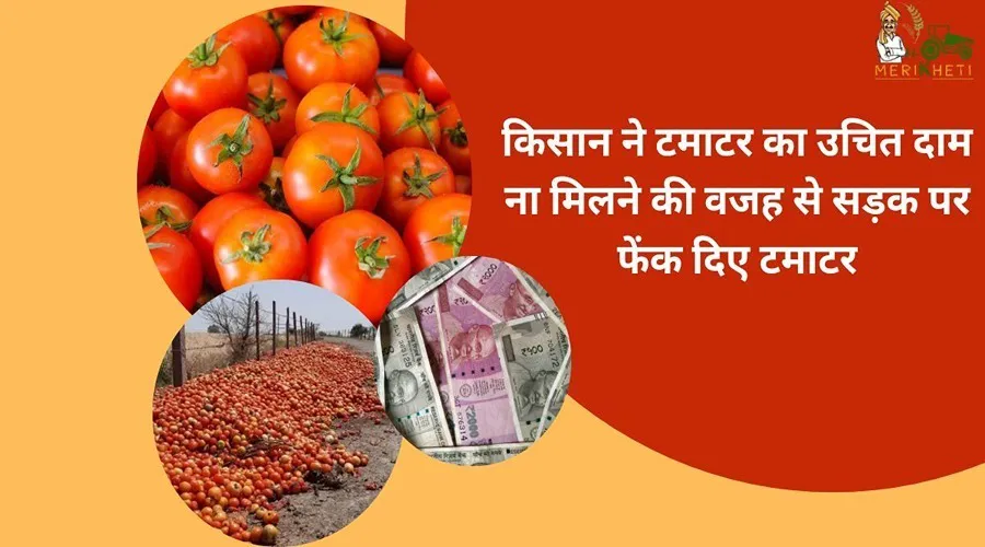 किसान ने टमाटर का उचित दाम ना मिलने की वजह से सड़क पर फेंक दिए टमाटर