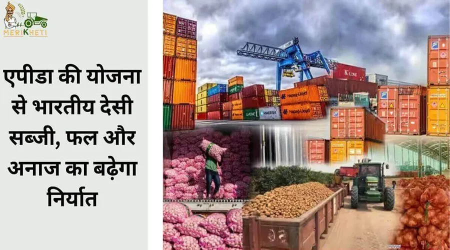 एपीडा (APEDA) की योजना से भारतीय देसी सब्जी, फल और अनाज का बढ़ेगा निर्यात