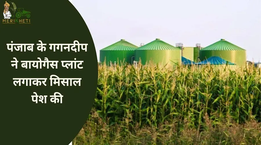 पंजाब के गगनदीप ने बायोगैस प्लांट लगाकर मिसाल पेश की है, बायोगैस (Biogas) से पूरा गॉंव जला रहा मुफ्त में चूल्हा
