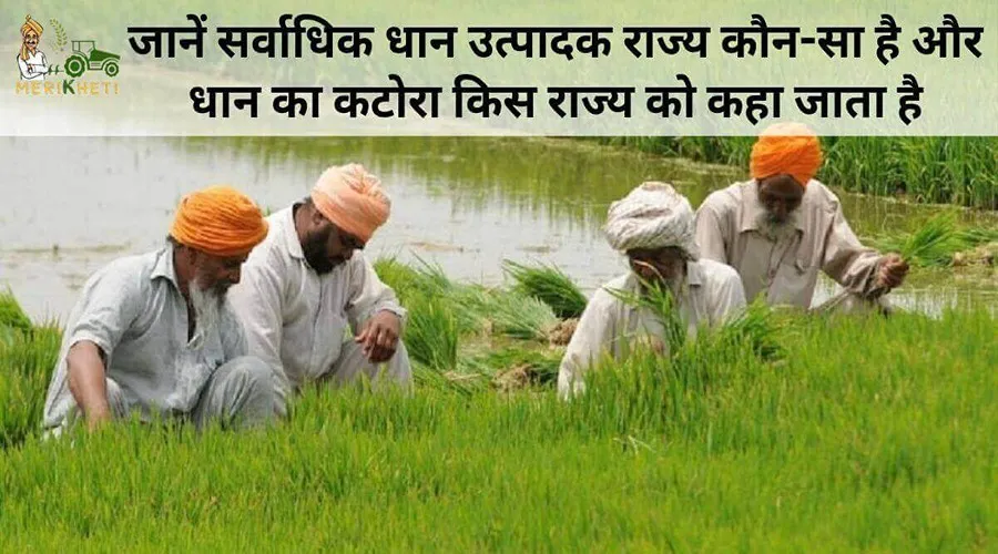 जानें सर्वाधिक धान उत्पादक राज्य कौन-सा है और धान का कटोरा किस राज्य को कहा जाता है