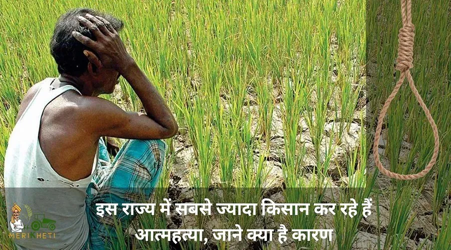 इस राज्य में सबसे ज्यादा किसान कर रहे हैं आत्महत्या, जाने क्या है कारण