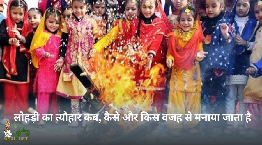 लोहड़ी का त्यौहार कब, कैसे और किस वजह से मनाया जाता है