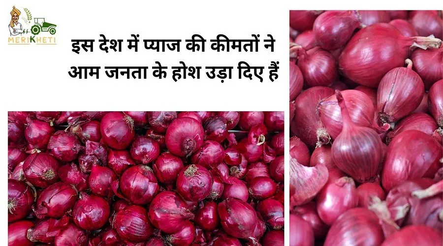 इस देश में प्याज की कीमतों ने आम जनता के होश उड़ा दिए हैं