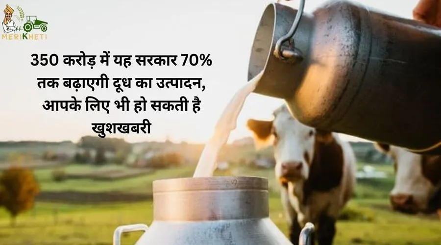 350 करोड़ में यह सरकार 70% तक बढ़ाएगी दूध का उत्पादन, आपके लिए भी हो सकती है खुशखबरी