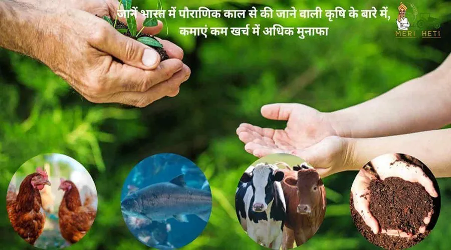 जानें भारत में पौराणिक काल से की जाने वाली कृषि के बारे में, कमाएं कम खर्च में अधिक मुनाफा