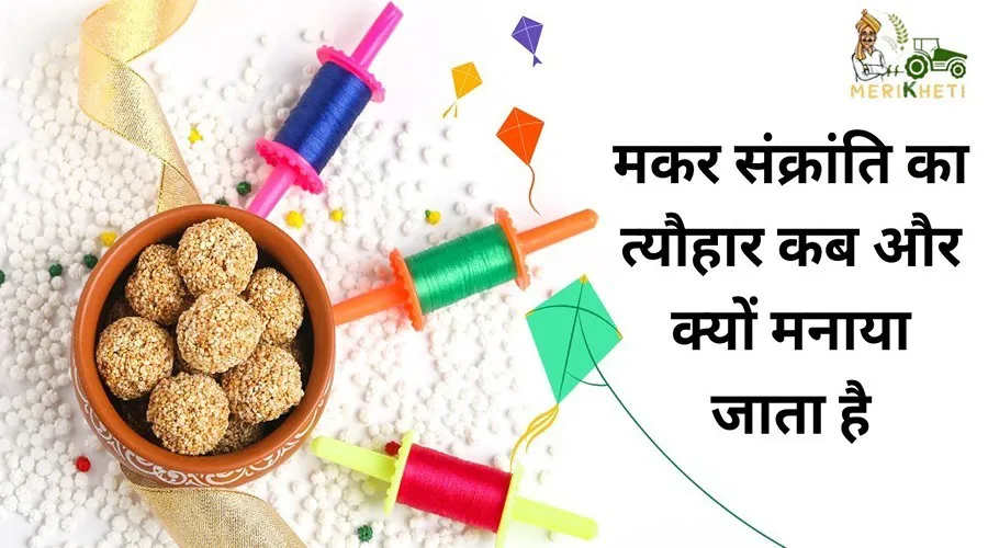 मकर संक्रान्ति का त्यौहार कब और क्यों मनाया जाता है
