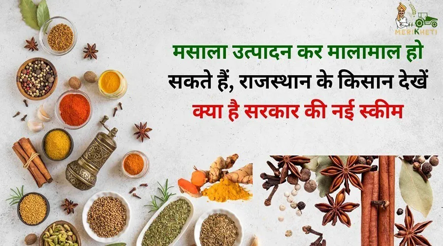 मसाला उत्पादन कर मालामाल हो सकते हैं, राजस्थान के किसान देखें क्या है सरकार की नई स्कीम
