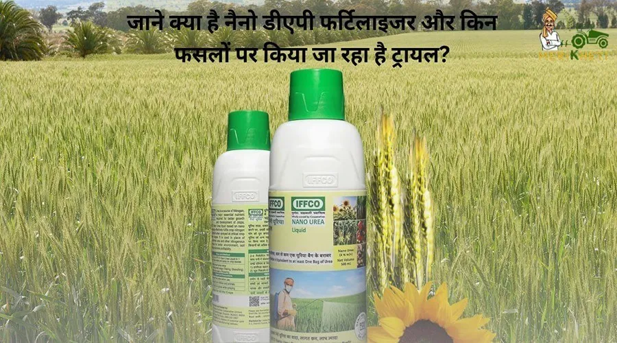जाने क्या है नैनो डीएपी फर्टिलाइजर और किन फसलों पर किया जा रहा है ट्रायल?
