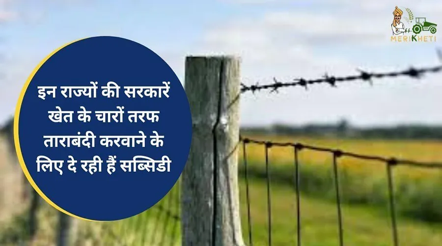 इन राज्यों की सरकारें खेत के चारों तरफ ताराबंदी करवाने के लिए दे रही हैं सब्सिडी