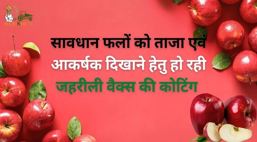 सावधान फलों को ताजा एवं आकर्षक दिखाने हेतु हो रही जहरीली वैक्स की कोटिंग