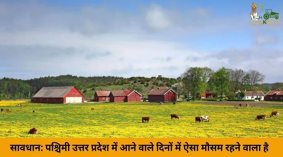 सावधान: पश्चिमी उत्तर प्रदेश में आने वाले दिनों में ऐसा मौसम रहने वाला है