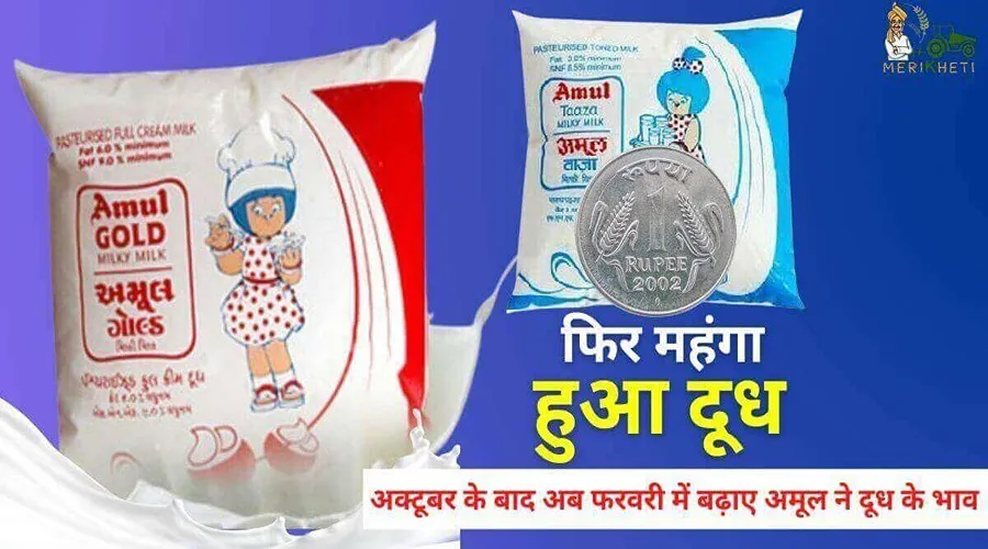 अक्टूबर के बाद अब फरवरी में बढ़ाए अमूल ने दूध के भाव 