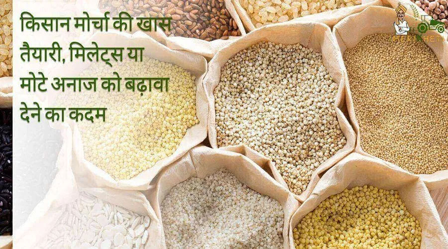 किसान मोर्चा की खास तैयारी, म‍िलेट्स या मोटे अनाज को बढ़ावा देने का कदम