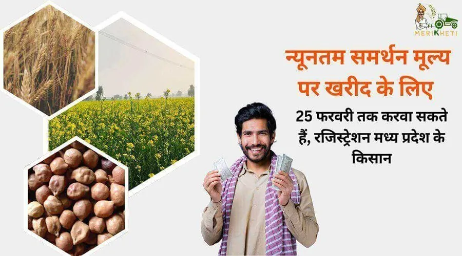 न्यूनतम समर्थन मूल्य पर खरीद के लिए 25 फरवरी तक करवा सकते हैं, रजिस्ट्रेशन मध्य प्रदेश के किसान