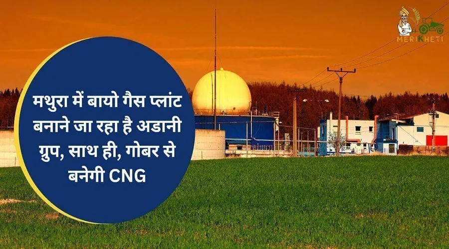 मथुरा में बायोगैस प्लांट (Biogas Plant) बनाने जा रहा है अडानी ग्रुप, साथ ही, गोबर से बनेगी CNG