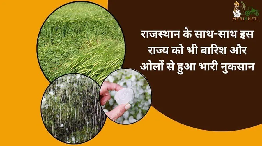 राजस्थान के साथ-साथ इस राज्य को भी बारिश और ओलों से हुआ भारी नुकसान