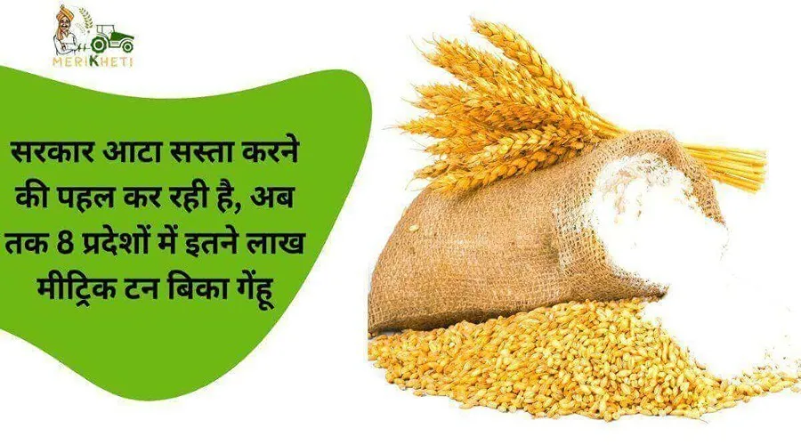 सरकार आटा सस्ता करने की पहल कर रही है, अब तक 8 प्रदेशों में इतने लाख मीट्रिक टन बिका गेंहू
