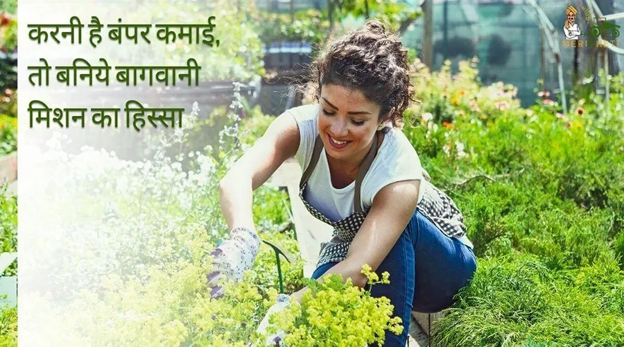 करनी है बंपर कमाई, तो बनिये बागवानी मिशन का हिस्सा
