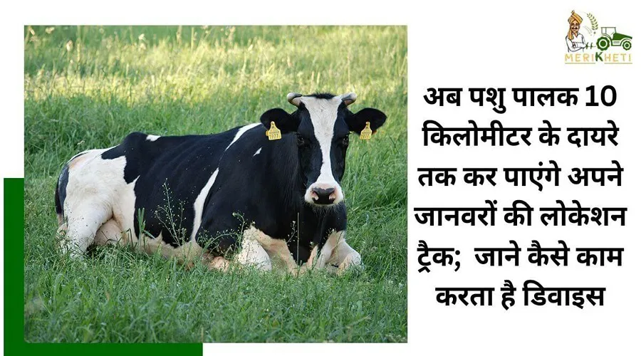 अब पशु पालक 10 किलोमीटर के दायरे तक कर पाएंगे अपने जानवरों की लोकेशन ट्रैक; जाने कैसे काम करता है डिवाइस