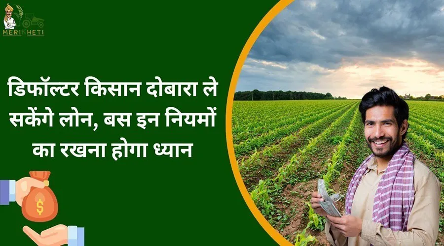 डिफॉल्टर किसान दोबारा ले सकेंगे लोन, बस इन नियमों का रखना होगा ध्यान