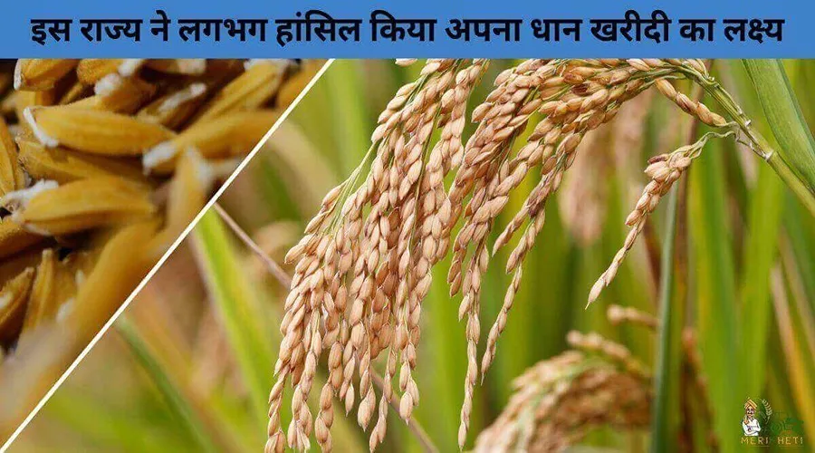 इस राज्य ने लगभग हासिल किया अपना धान खरीदी का लक्ष्य