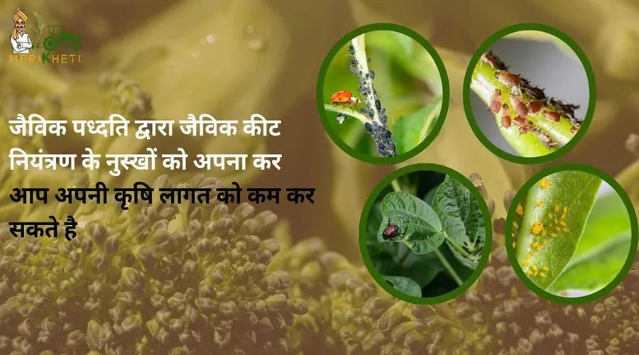 जैविक पध्दति द्वारा जैविक कीट नियंत्रण के नुस्खों को अपना कर आप अपनी कृषि लागत को कम कर सकते है