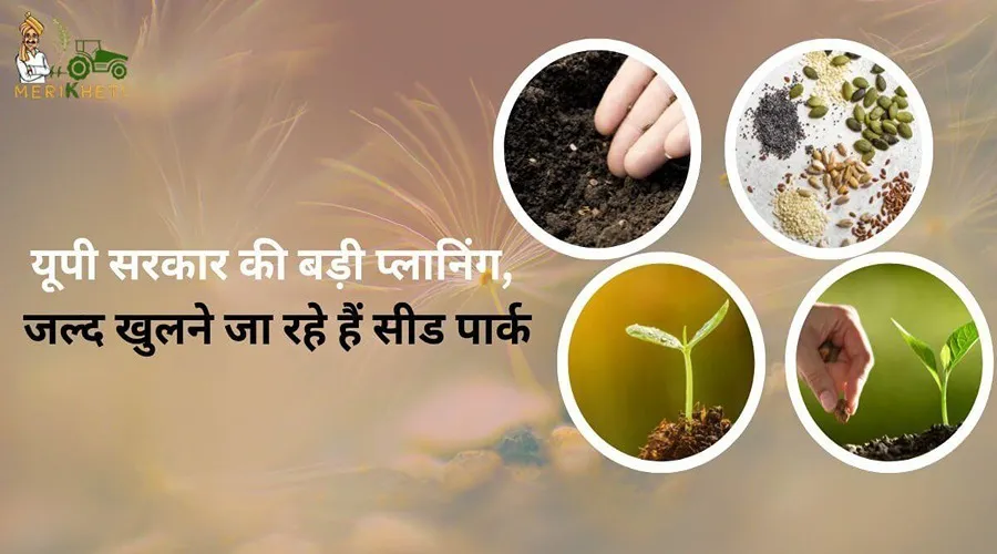 यूपी सरकार की बड़ी प्लानिंग, जल्द खुलने जा रहे हैं बीज पार्क