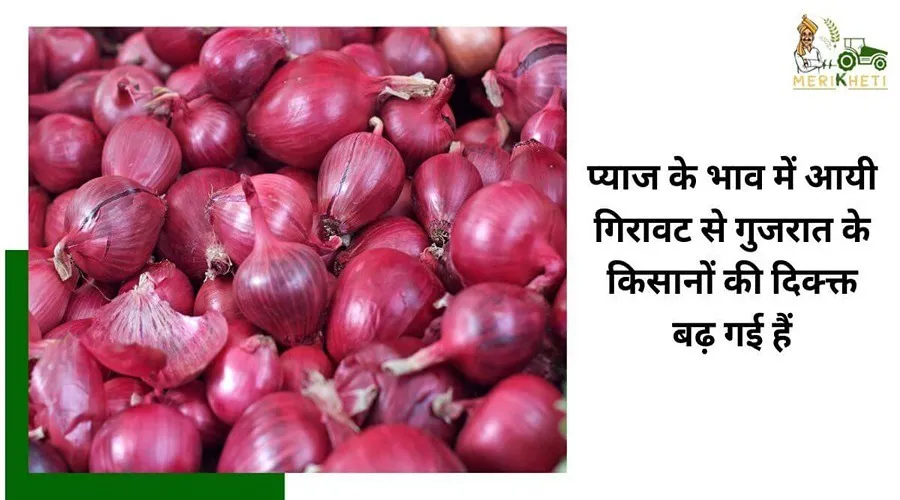 प्याज के भाव में आयी गिरावट से गुजरात के किसानों की दिक्क्त बढ़ गई हैं