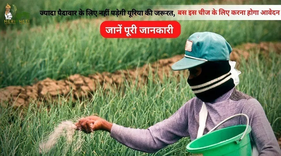 ज्यादा पैदावार के लिए नहीं पड़ेगी यूरिया की जरूरत, बस इस चीज के लिए करना होगा आवेदन