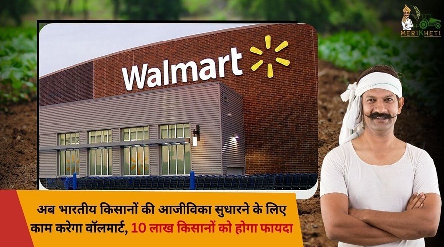 अब भारतीय किसानों की आजीविका सुधारने के लिए काम करेगा वॉलमार्ट Walmart, 10 लाख किसानों को होगा फायदा