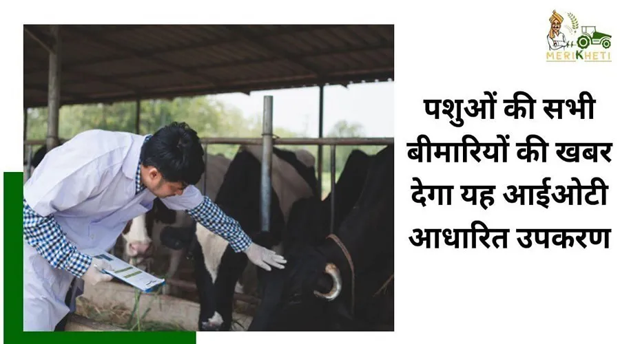 पशुओं की सभी बीमारियों की खबर देगा यह आईओटी आधारित उपकरण