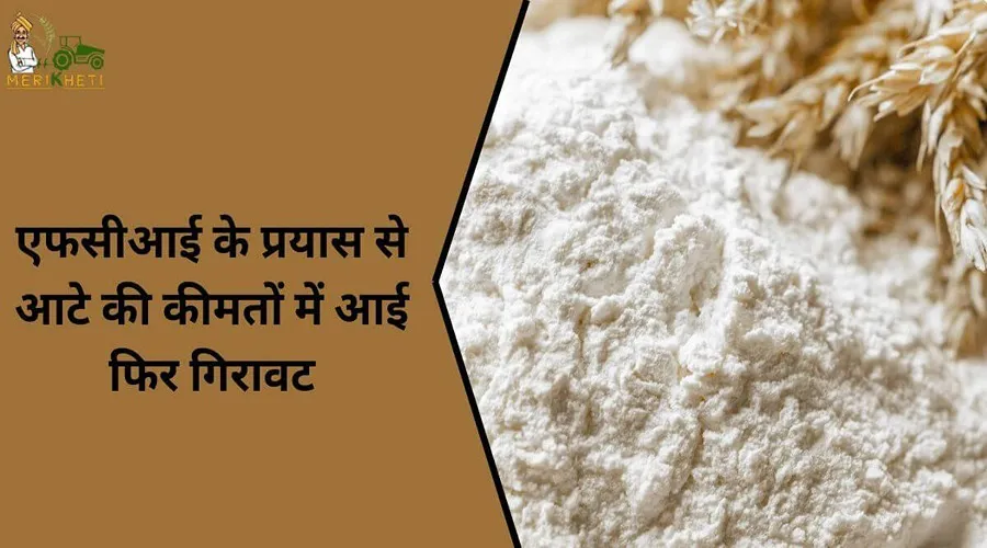 एफसीआई के प्रयास से आटे की कीमतों में आई फिर गिरावट