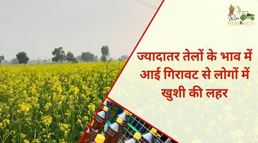 ज्यादातर तेलों के भाव में आई गिरावट से लोगों में खुशी की लहर