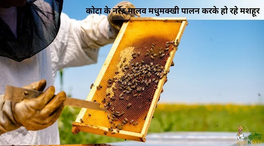 कोटा के नरेंद्र मालव मधुमक्खी पालन करके हो रहे मशहूर