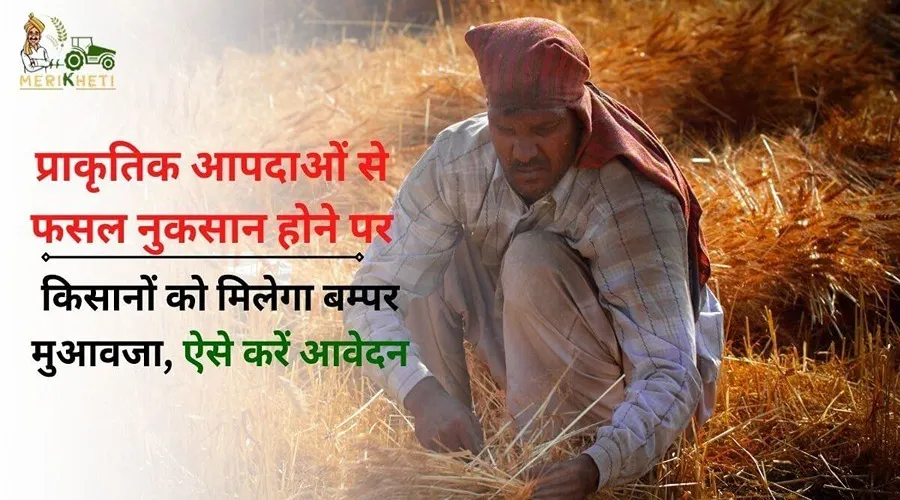 प्राकृतिक आपदाओं से फसल नुकसान होने पर किसानों को मिलेगा बम्पर मुआवजा, ऐसे करें आवेदन
