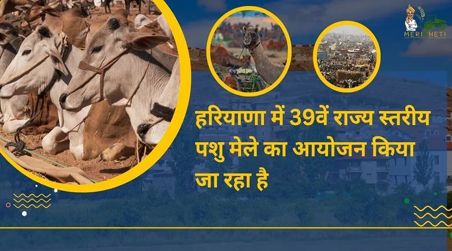 हरियाणा में 39 वें राज्य स्तरीय पशु मेले का आयोजन किया जा रहा है
