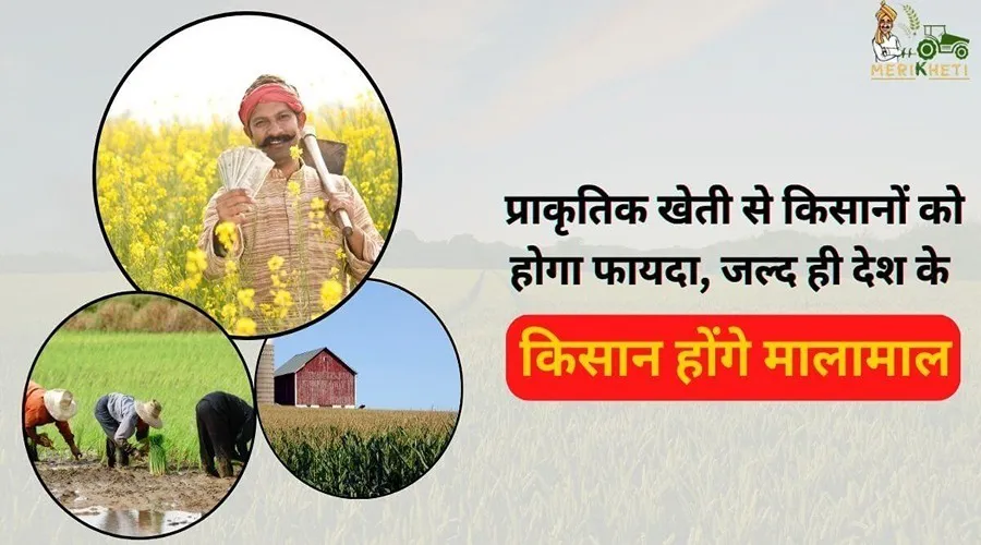 प्राकृतिक खेती से किसानों को होगा फायदा, जल्द ही देश के किसान होंगे मालामाल