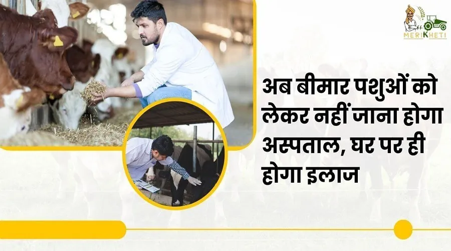 अब बीमार पशुओं को लेकर नहीं जाना होगा अस्पताल, घर पर ही होगा इलाज