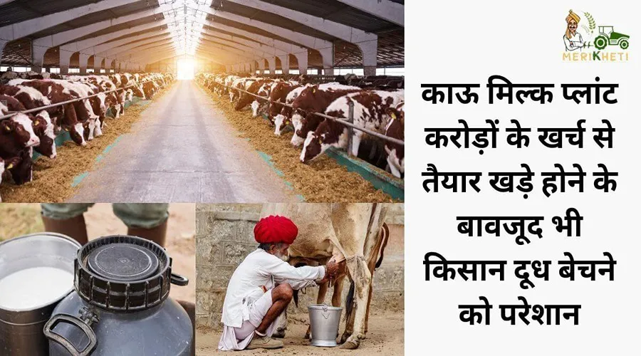 काऊ मिल्क प्लांट करोड़ों के खर्च से तैयार खड़े होने के बावजूद भी किसान दूध बेचने को परेशान