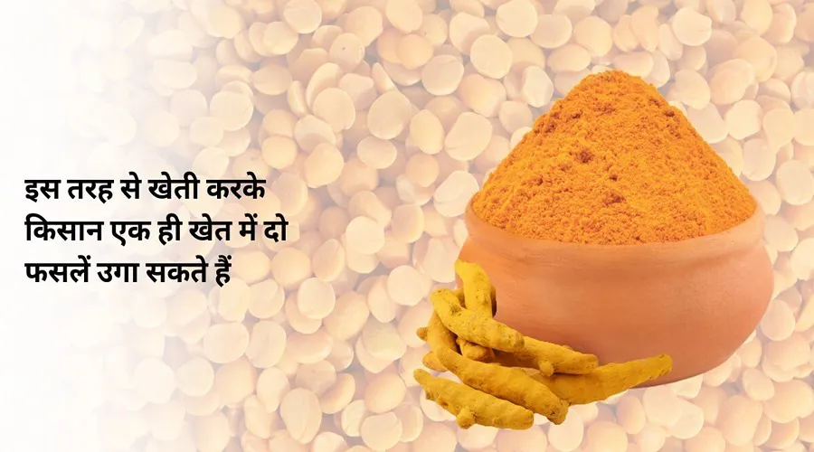 इस तरह से खेती करके किसान एक ही खेत में दो फसलें उगा सकते हैं