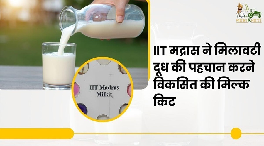 IIT मद्रास ने मिलावटी दूध की पहचान करने विकसित की मिल्क किट 