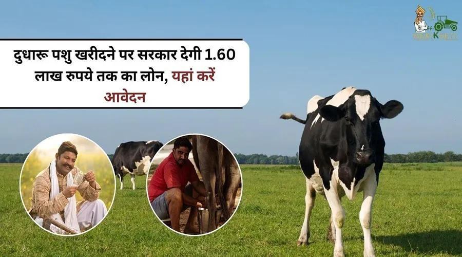 दुधारू पशु खरीदने पर सरकार देगी 1.60 लाख रुपये तक का लोन, यहां करें आवेदन