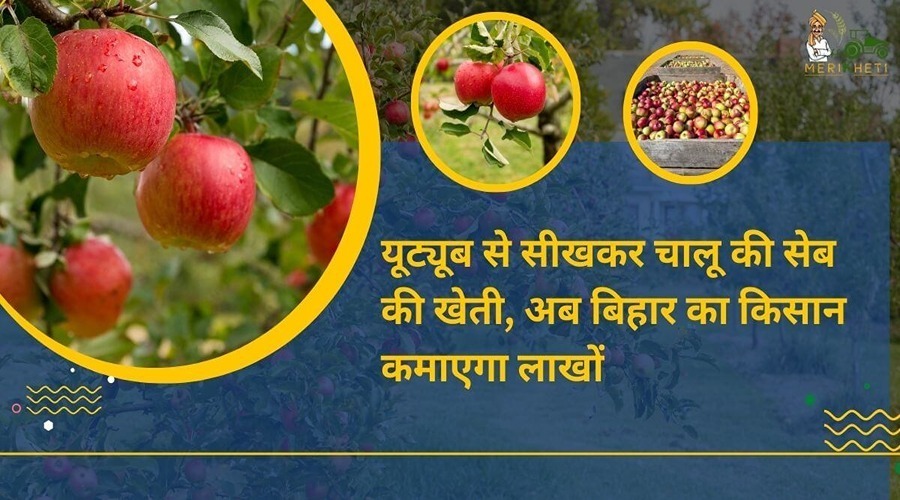 यूट्यूब से सीखकर चालू की सेब की खेती, अब बिहार का किसान कमाएगा लाखों