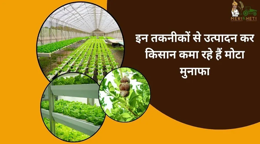 इन तकनीकों से उत्पादन कर किसान कमा रहे हैं मोटा मुनाफा