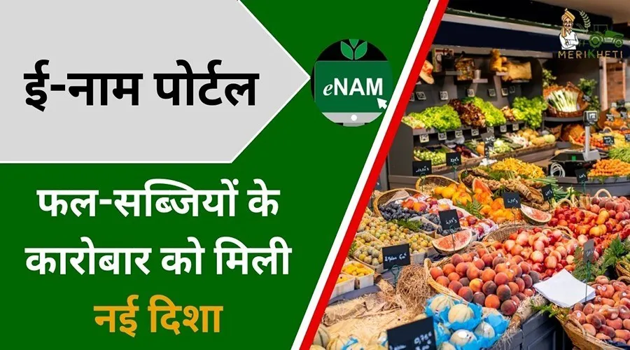 केंद्र सरकार की तरफ से जारी किया गया ई-नाम पोर्टल, फल-सब्जियों के कारोबार को मिली नई दिशा