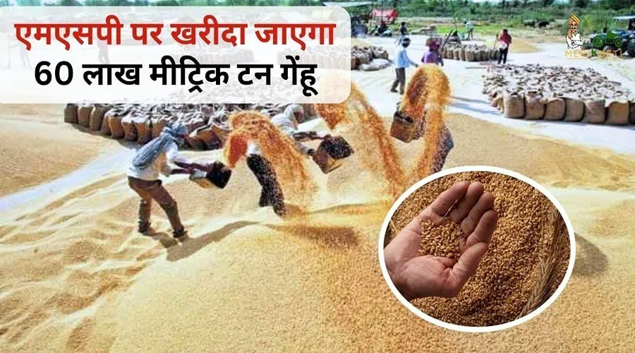 इस राज्य में गेंहू खरीदी के लिए 5900 खरीद केंद्र बनाए, MSP पर खरीदा जाएगा 60 लाख मीट्रिक टन गेंहू