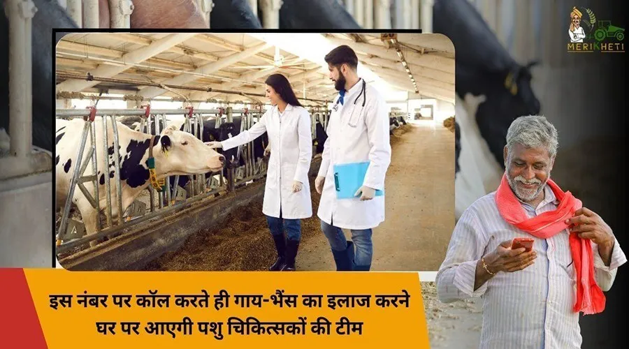 इस नंबर पर कॉल करते ही गाय-भैंस का इलाज करने घर पर आएगी पशु चिकित्सकों की टीम